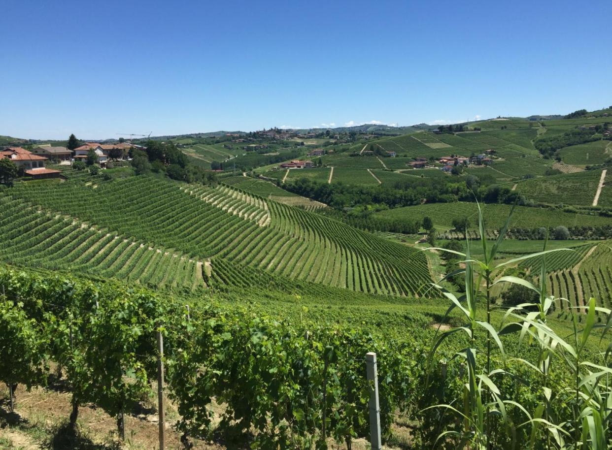 Castello Stella Vaglio Serra 빌라 외부 사진
